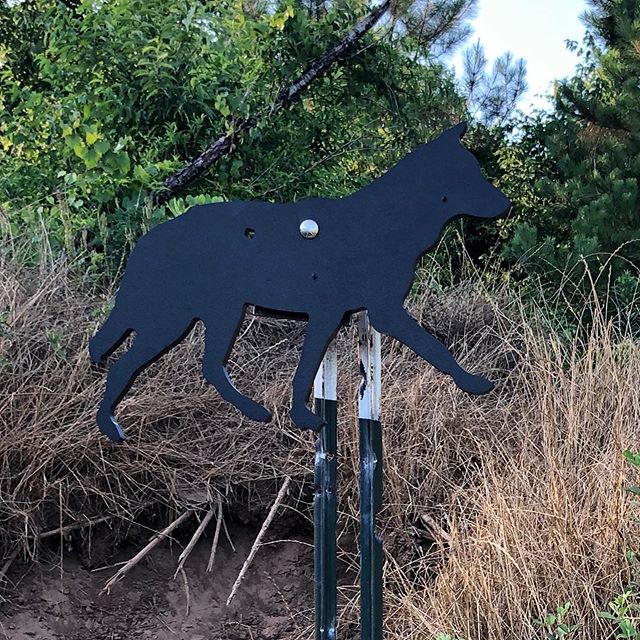 &lsquo;Dirty Coyote &lsquo; Reactive Thermal Target- this target is to check 100 yard or further zeros before a hunt. Life sized. #nvisionoptics #pulsarthermalimaging #bucketlist #coyotehunting