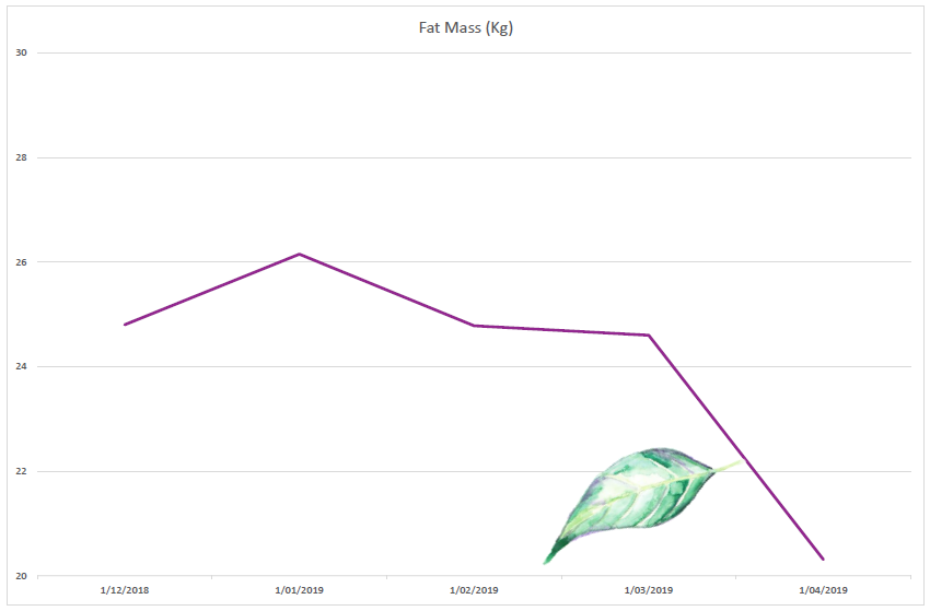 BIO-IMPEDANCE / BODY COMPOSITION SCANNING