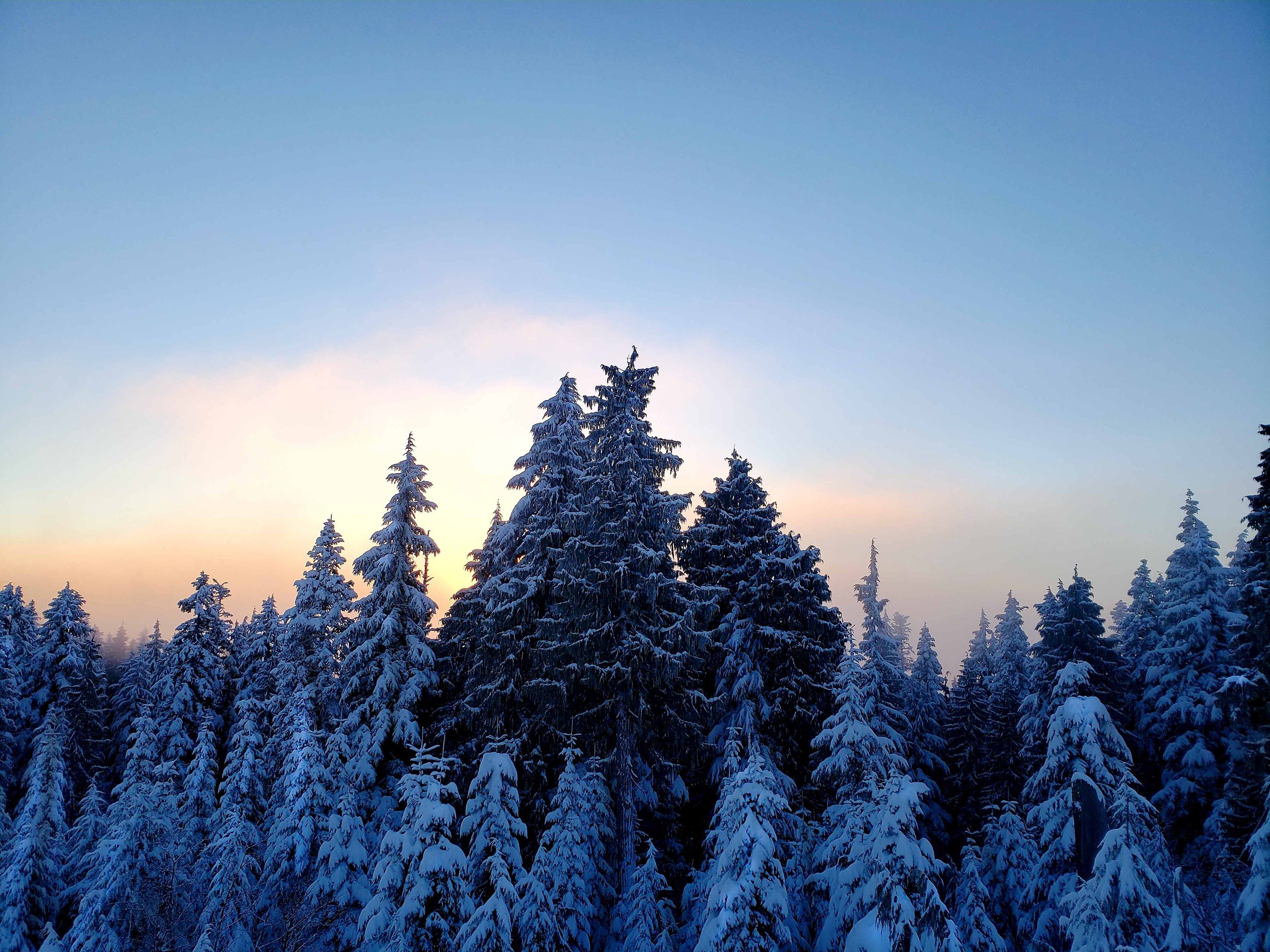 Seymour_Mtn_1.jpg