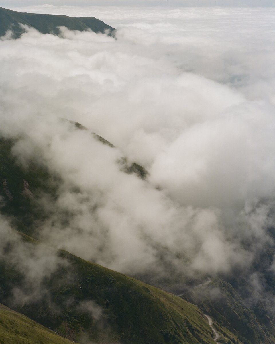Holly Gibson Photography-03.jpg