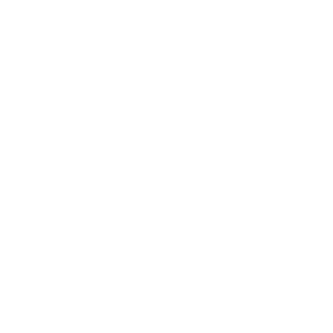 Org_Capacity.png