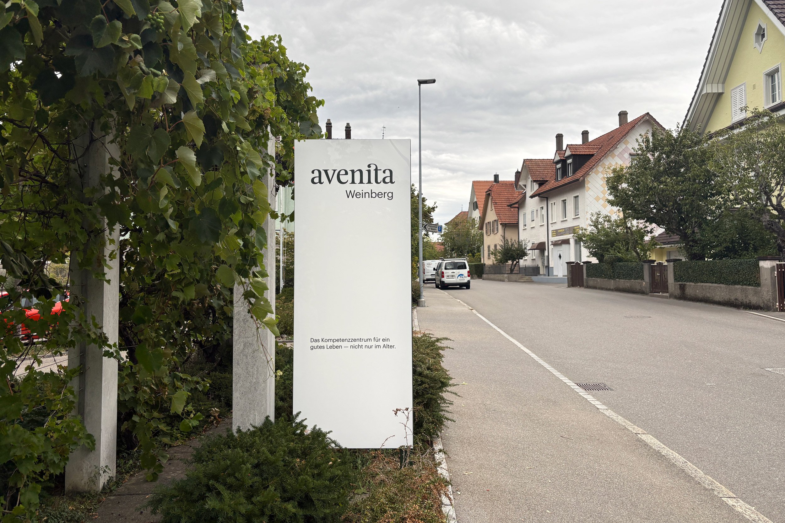 Avenita-Stele.jpg