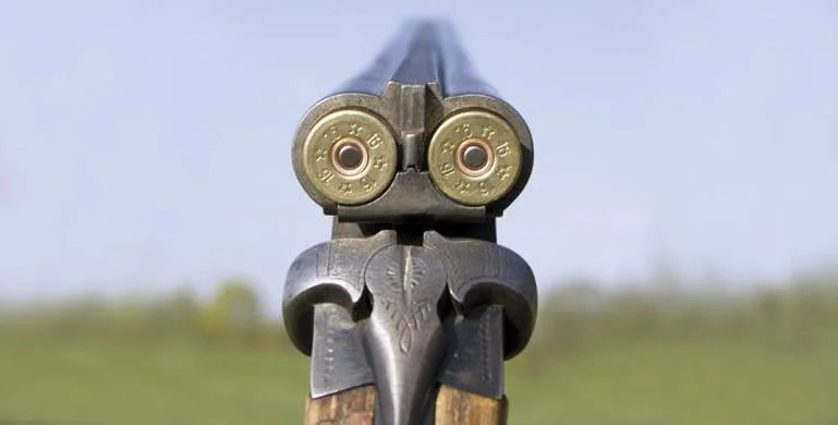 http---www.livingnorth.com-sites-default-files-styles-top_image-public-images-features-top-Top_14235337_Shotgun.jpg?itok=jl8mu2NN.jpeg