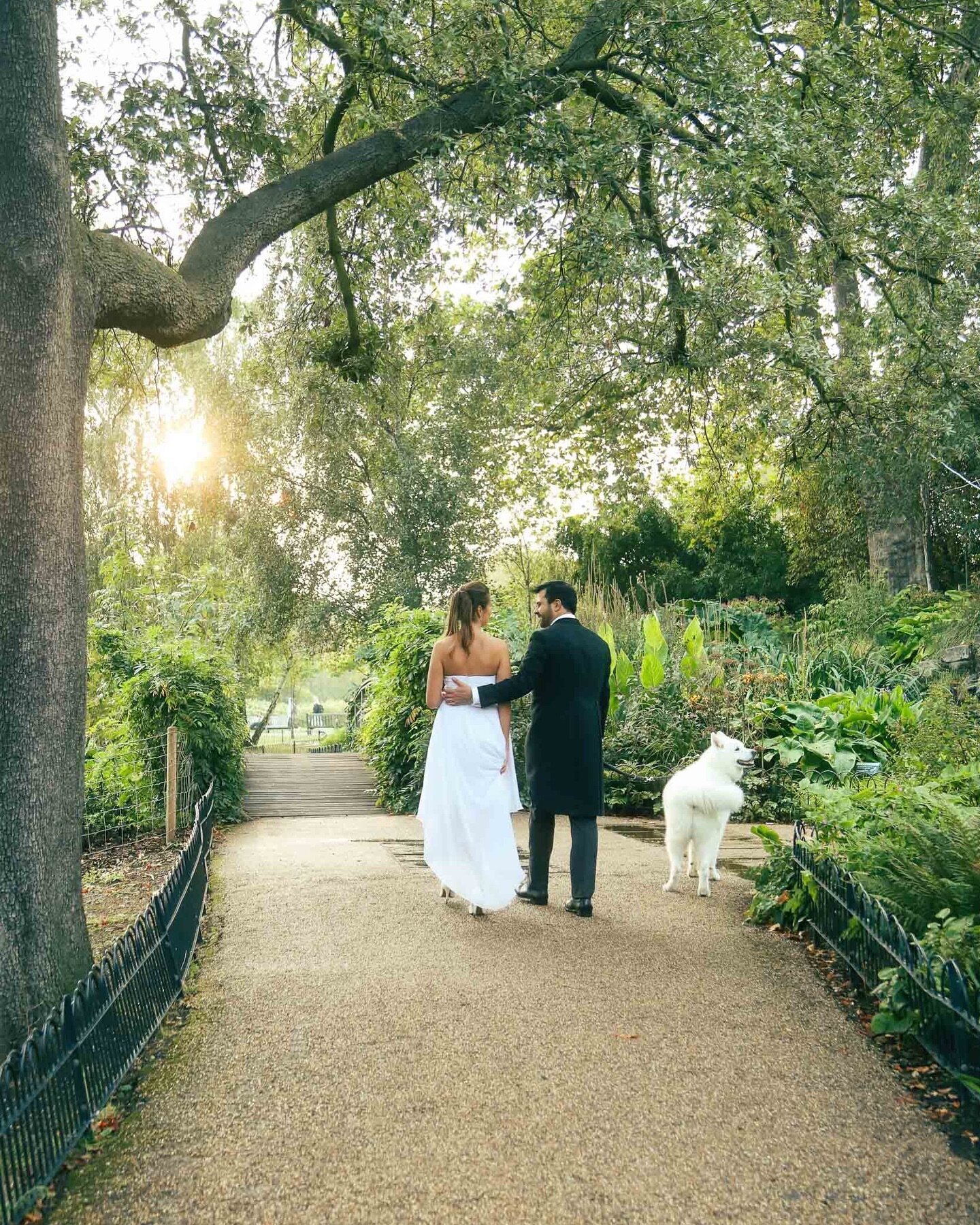 A Regent&rsquo;s Park moment with Simona, Ivan and their gorgeous Husky/Samoyed cross Leon 🖤
.
.
.
#regentsparkwedding #parkwedding #londonweddingphotographer #londonweddingphotography #coupleph #weddinginspiration #weddingdog #weddinghusky #huskies