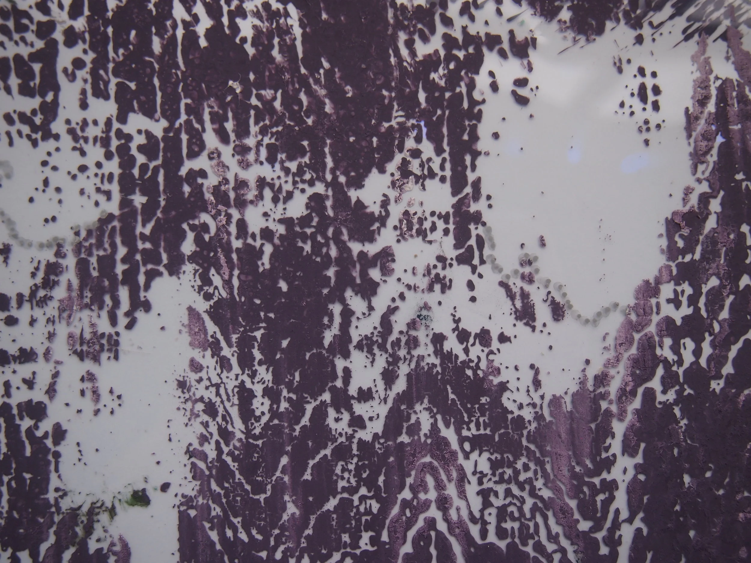 SCREEN PRINTING EXPERIMENT