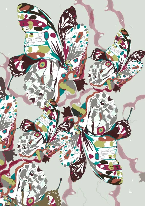 butterfly edit composition.jpg