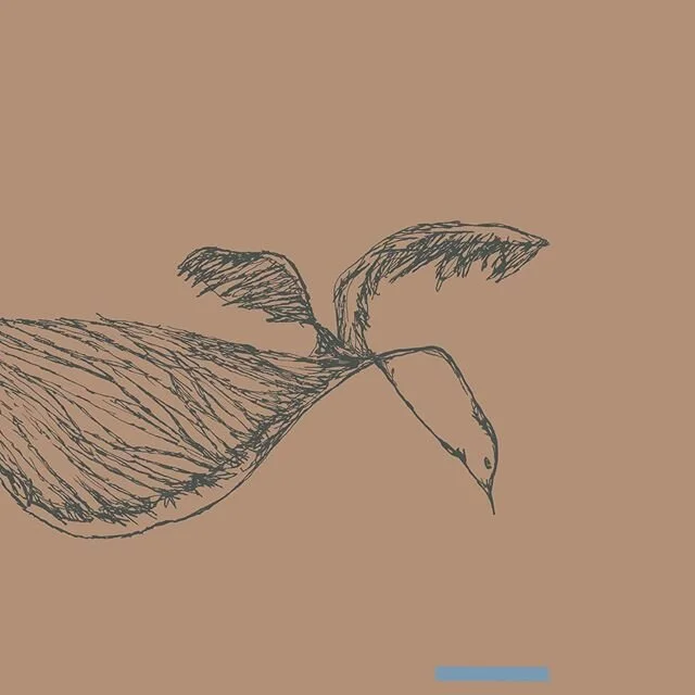 Three Winged Seagull, digital drawing based on painting, 2020
.
.
.
.
.
.
.
#redtelephone #contemporaryart #contemporaryartist #artistsoninstagram #femaleartist 
#squiggledrawing #squiggleseries 
#donaldwwinnicott #girlsthatmakestuff 
#subconsiousdra