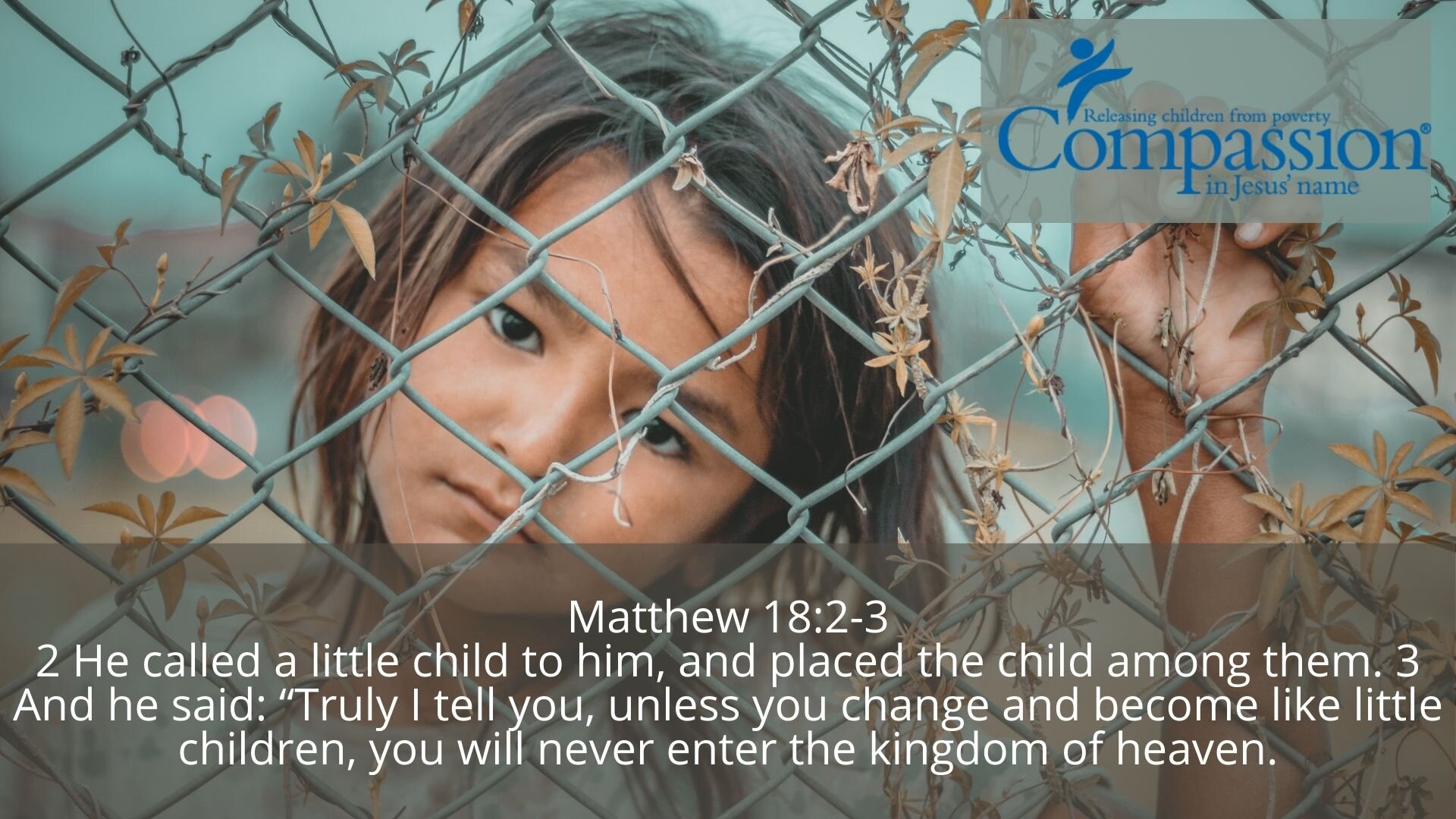 Compassion Sunday
