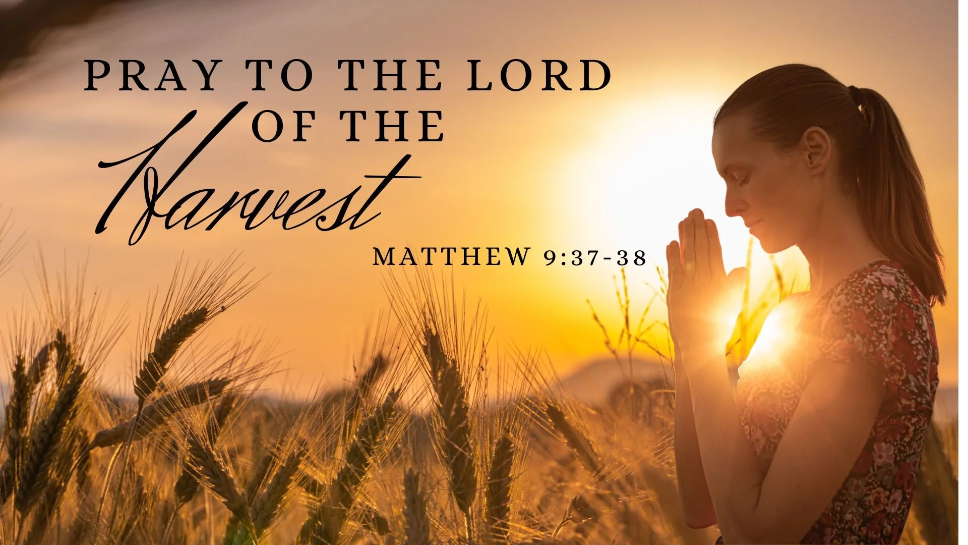 Pray to the Lord of the Harvest