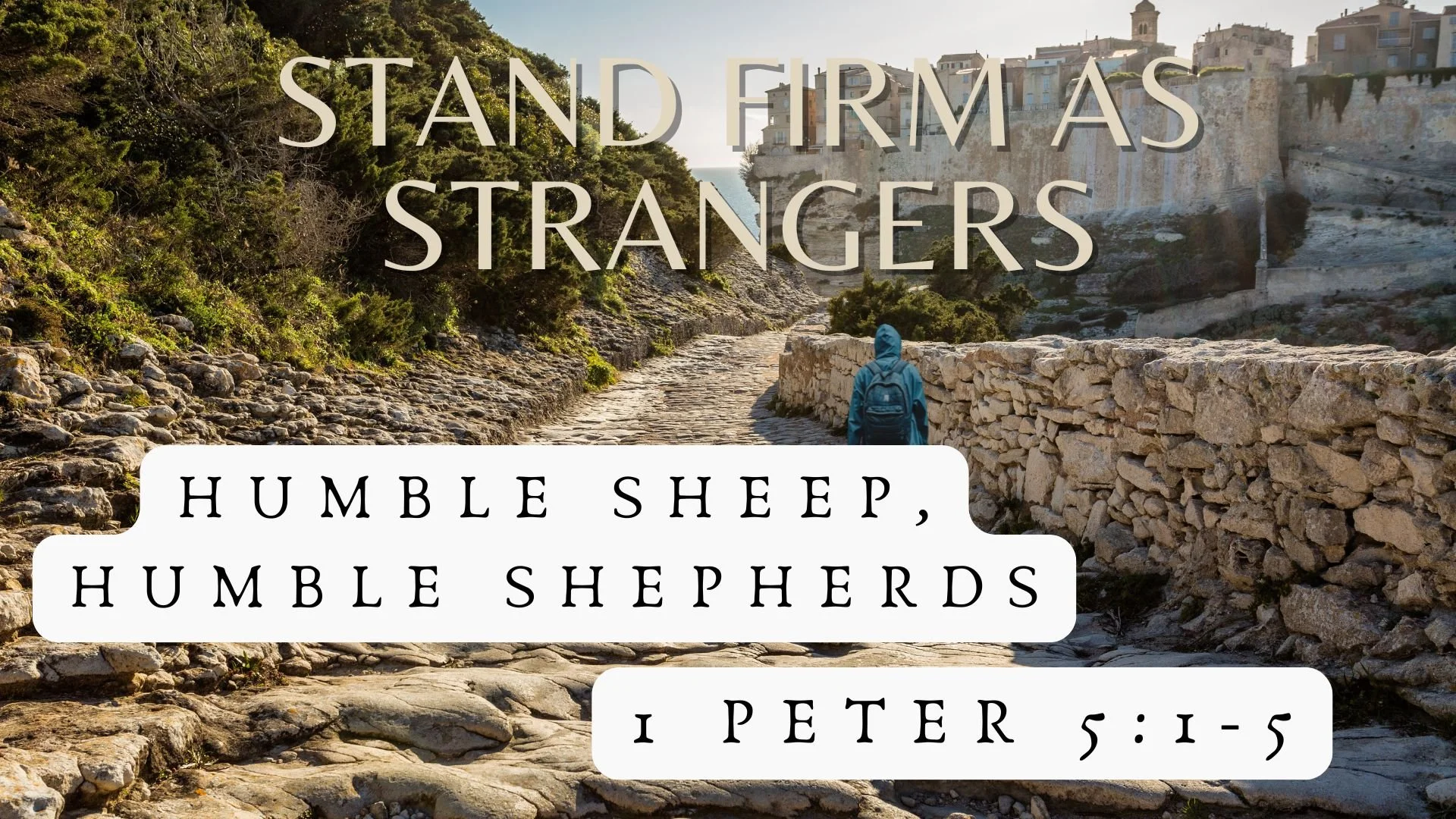 Humble Sheep, Humble Shepherds