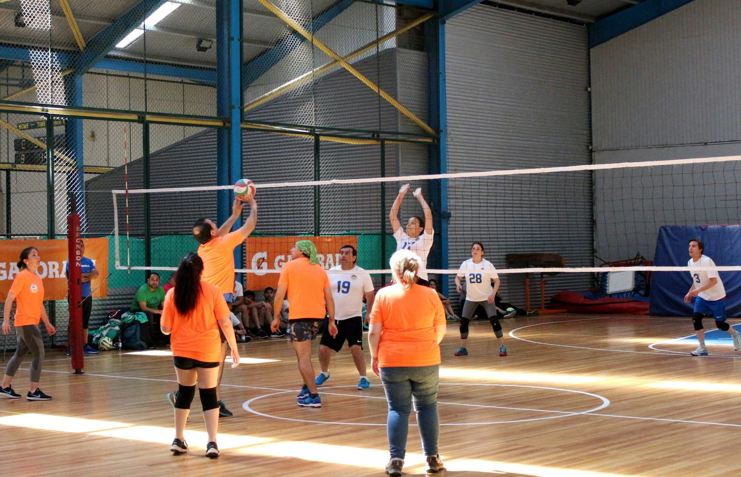 Adult (18+) Volleyball - Co-ed, non-competitive
