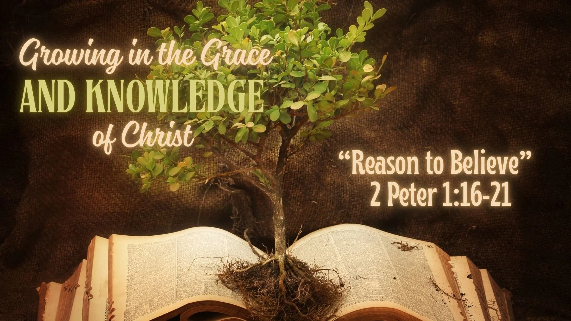 Reason to Believe