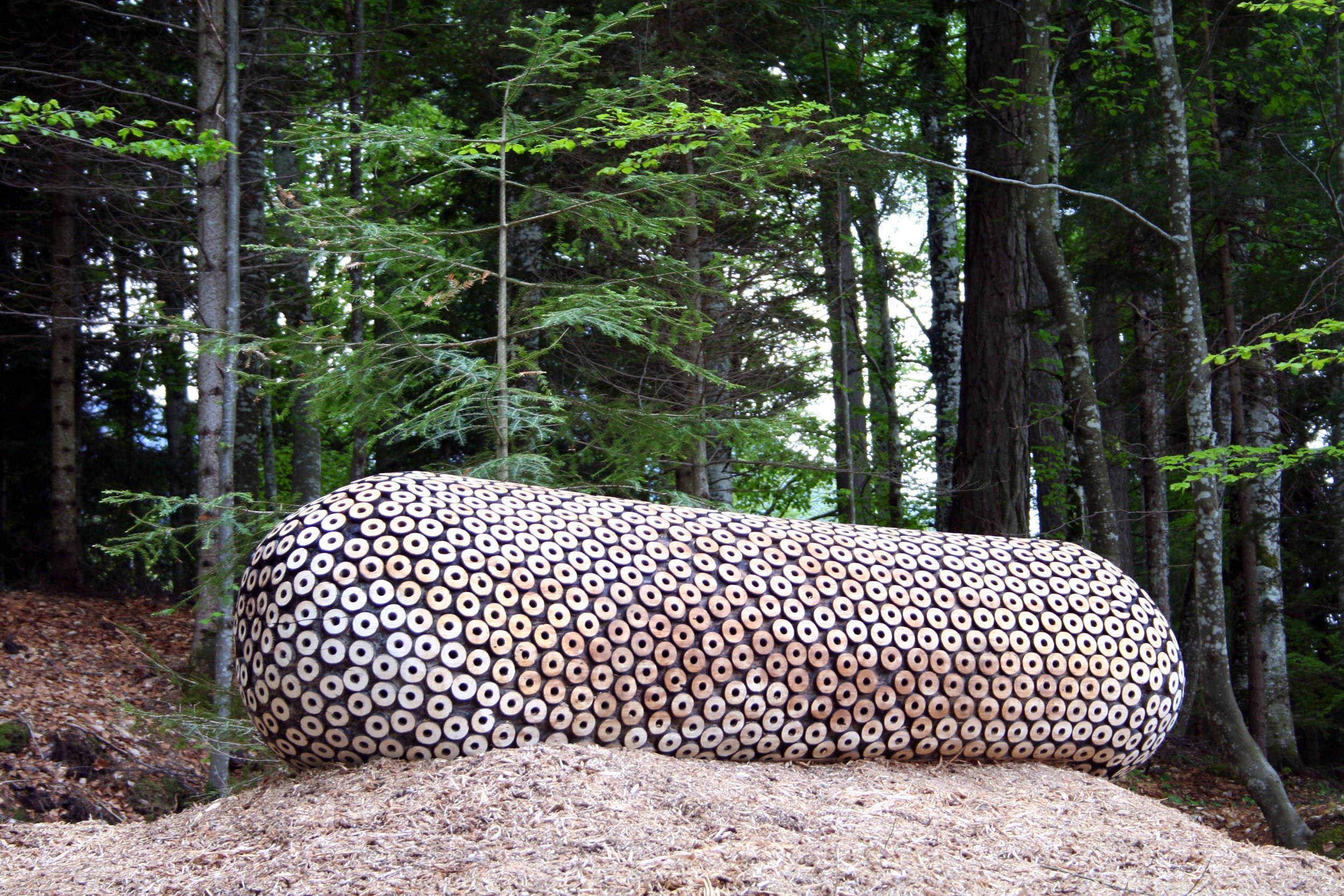 Capsula, Arte Sella, Italy.jpg