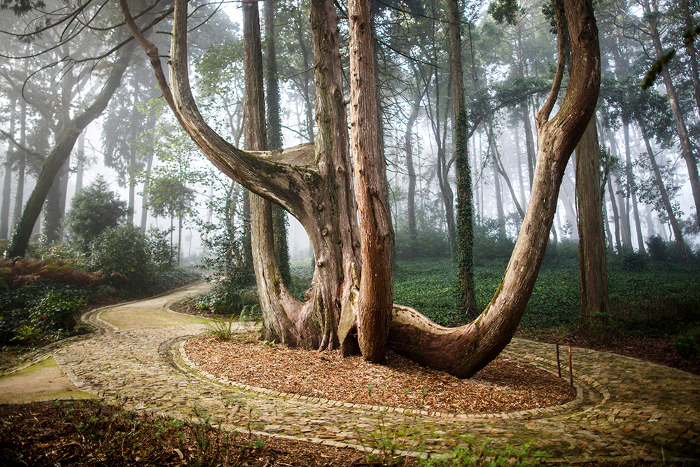 21_Parque_da_Pena_creditos_PSML_Emigus.jpg