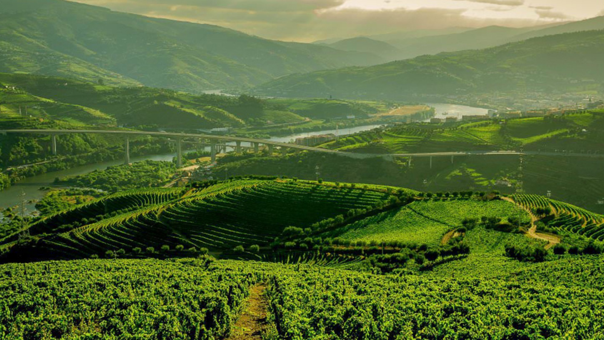 Douro Valley .jpeg