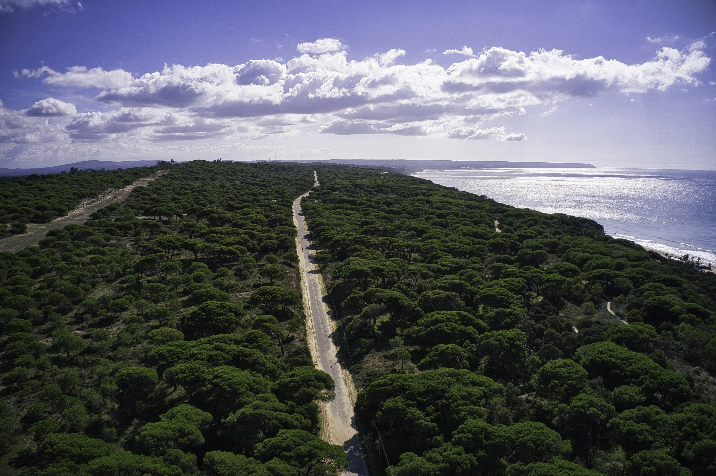 Aroeira Destination 11 from Renders.jpeg