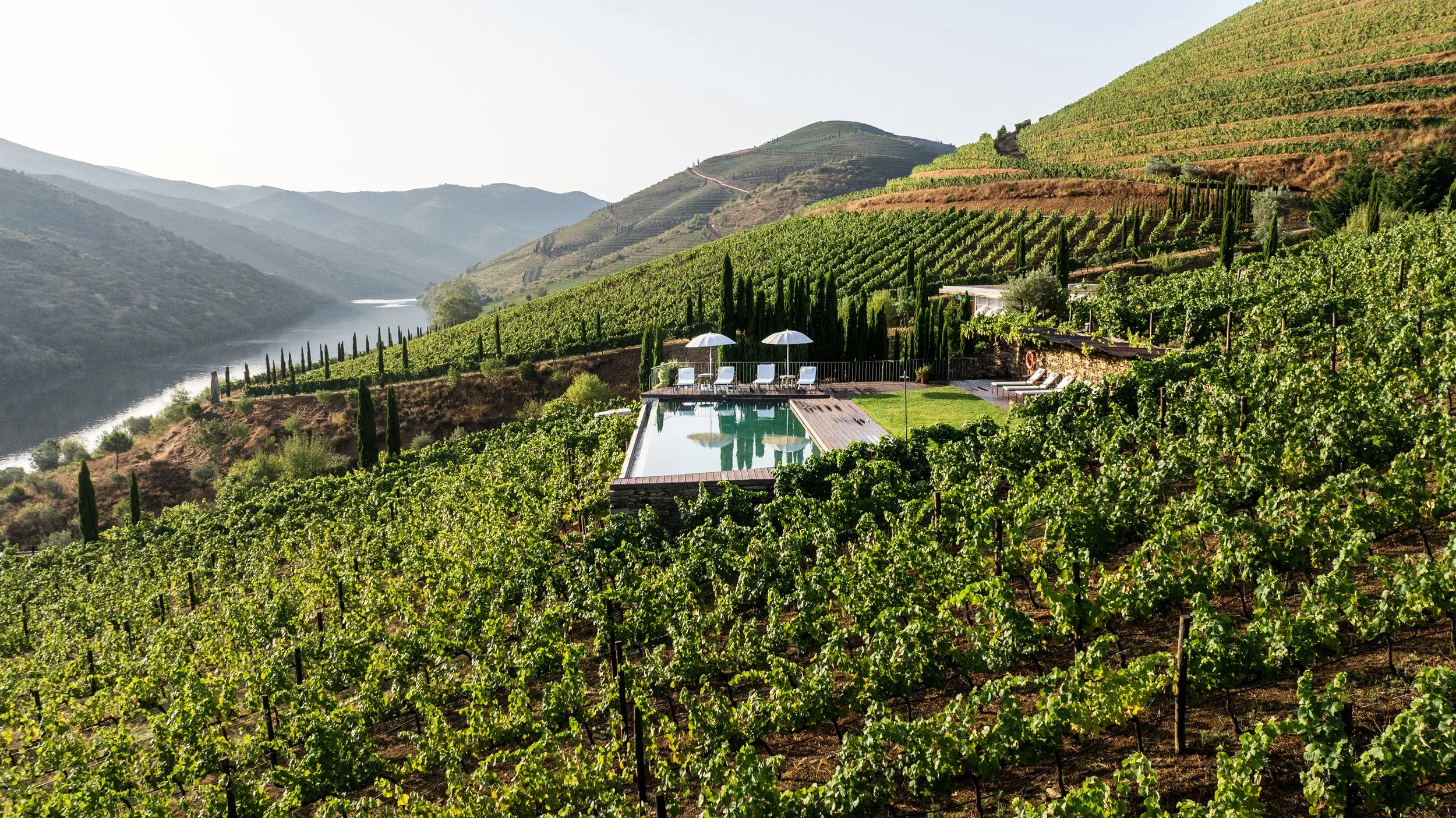 Quinta do Vallado Aerial 2024 (1).jpg