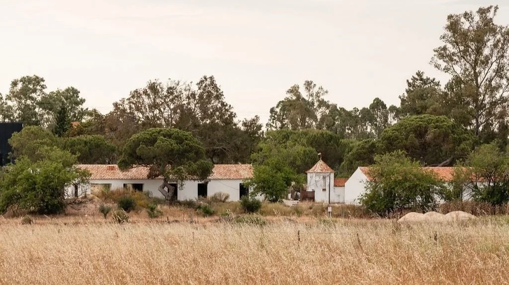 Property Surroundings 17.jpg