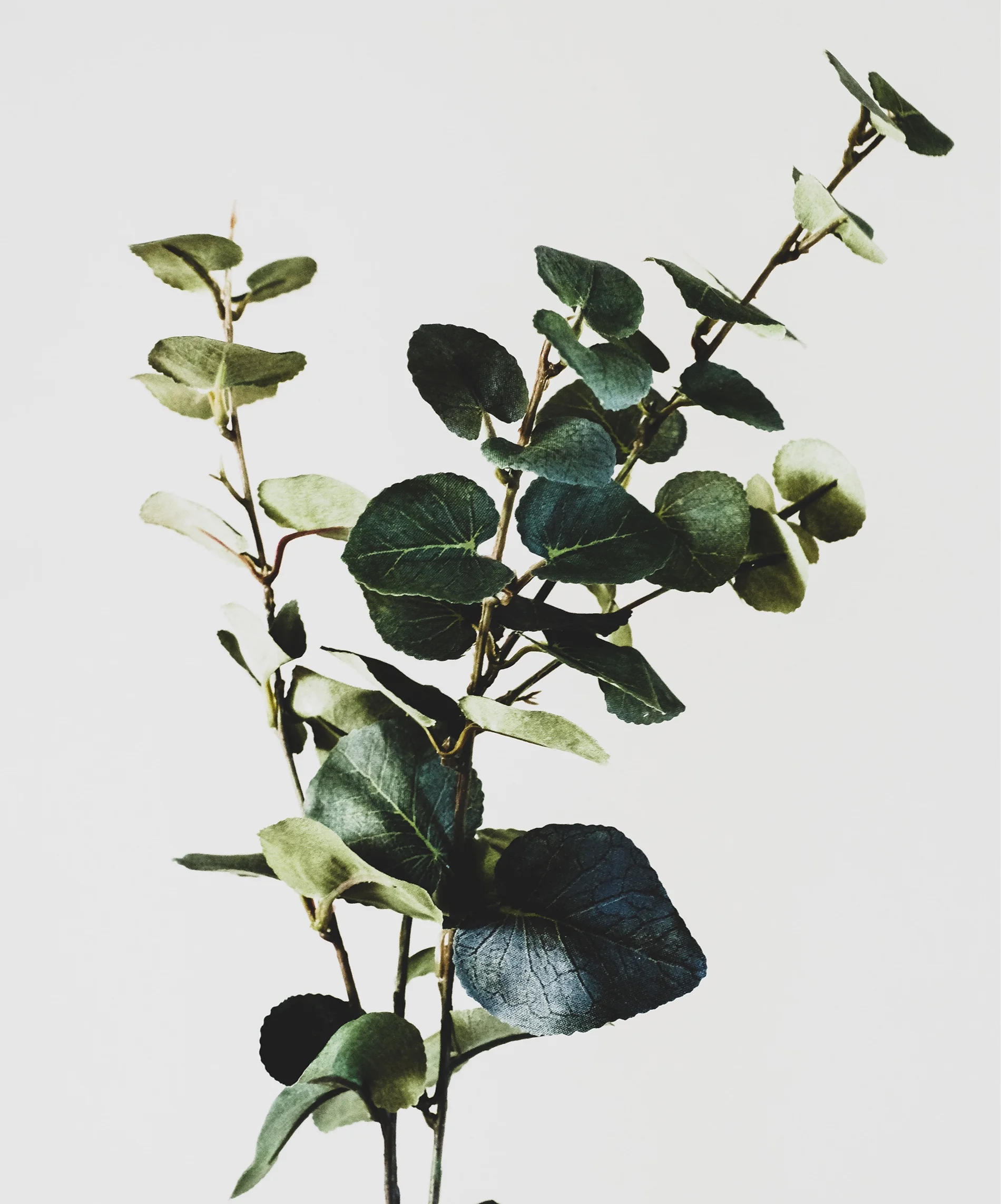dan-farrell-1329029-unsplash.jpg