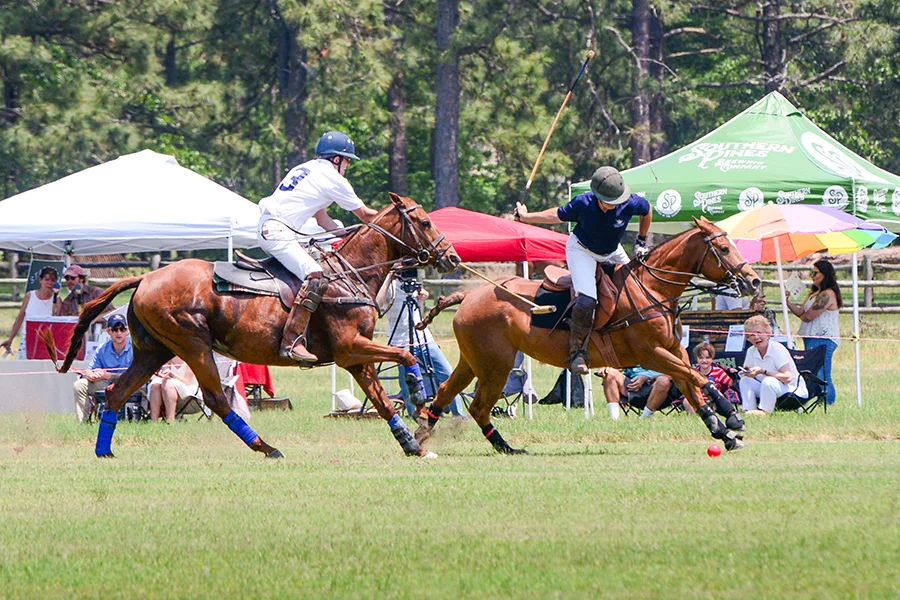Polo at Buchan Field