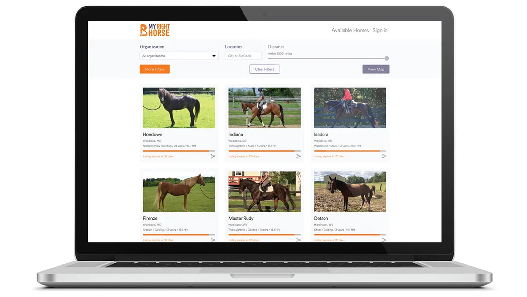 Search page at MyRightHorse.org