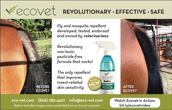 ecovet-tail-before-after-ad.jpeg