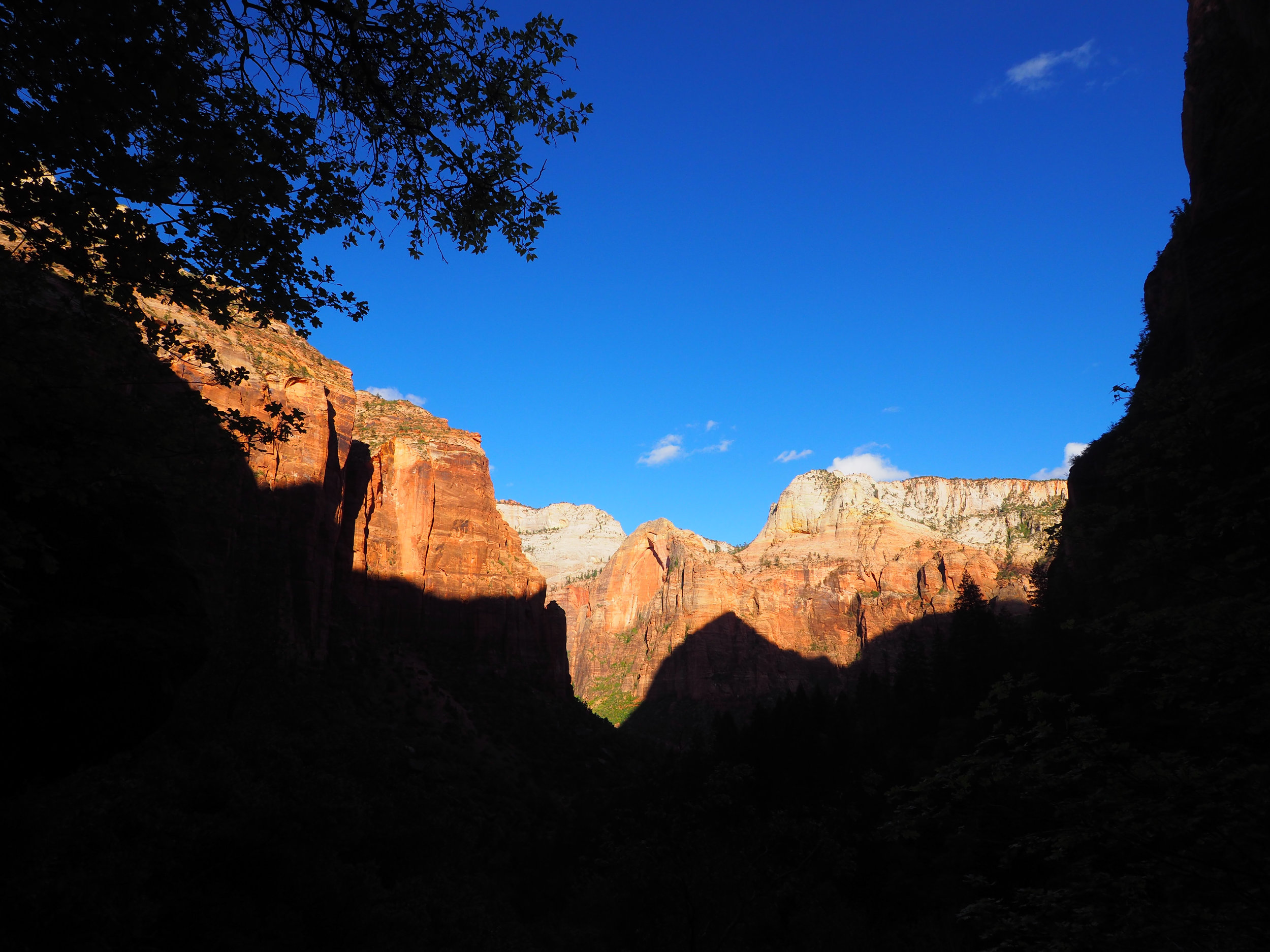 Zion National Park, Utah, USA