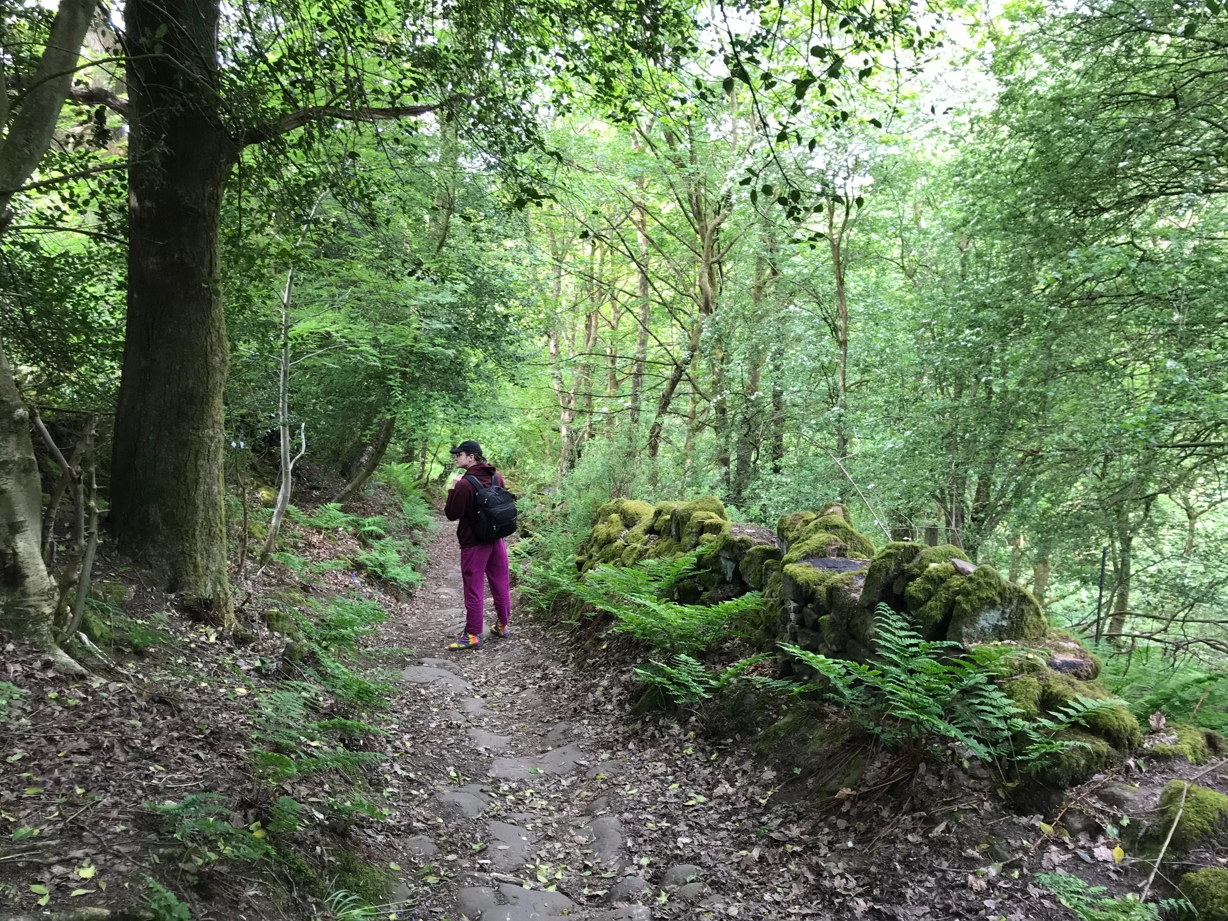 Feral Vector Was a Delight