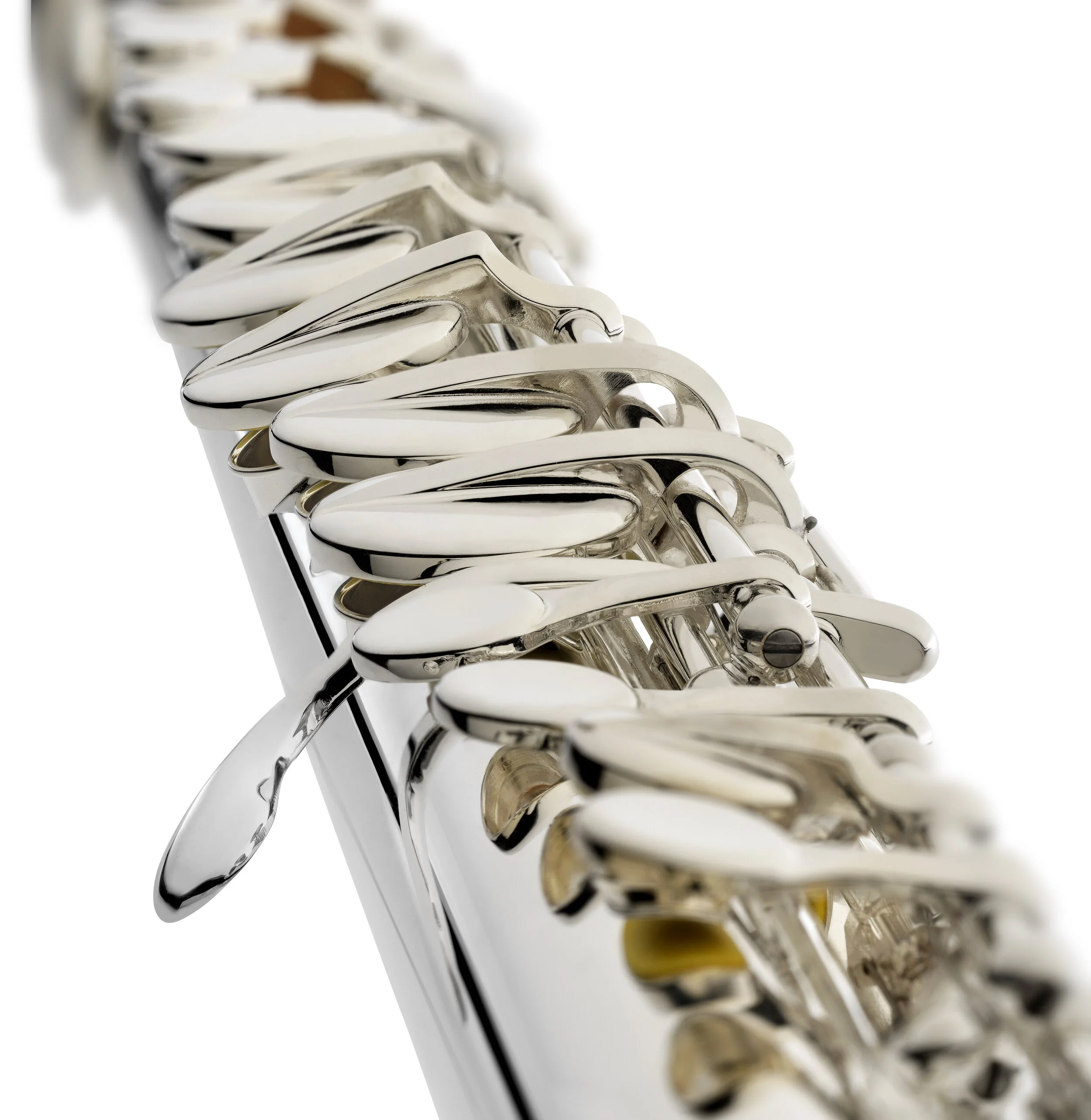 Haynes_Amadeus_Alto_Beauty1_0918.jpg