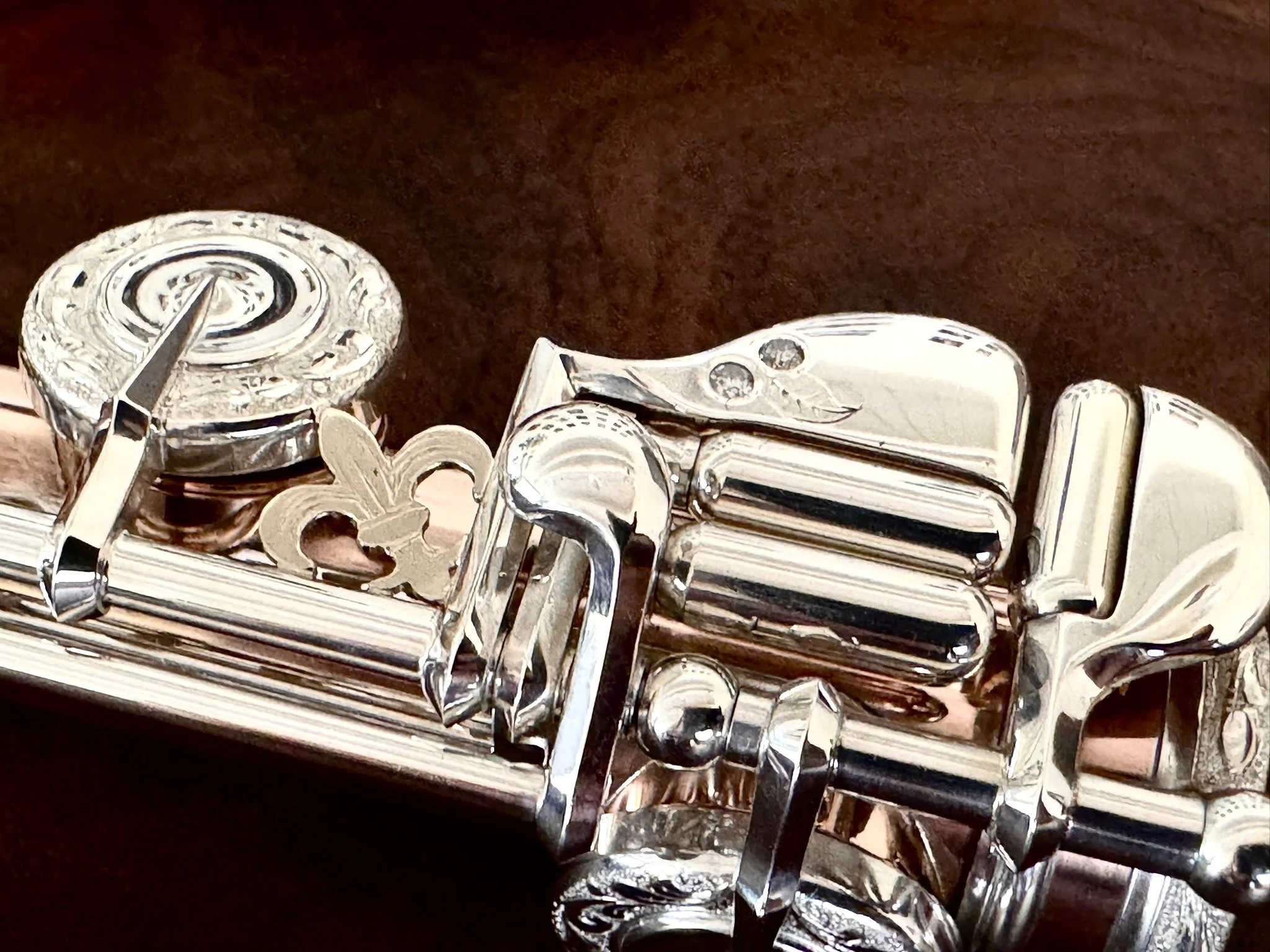 Fleur-de-Lis C# Brace