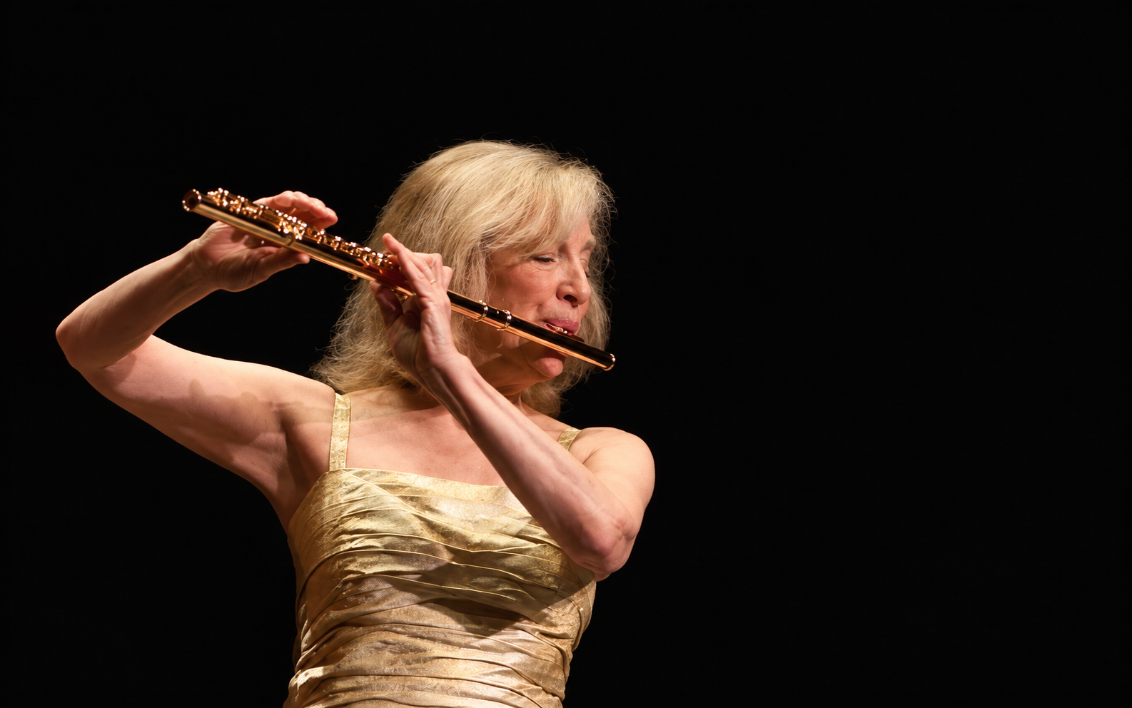 Paula Robison - Haynes Artist 1.png