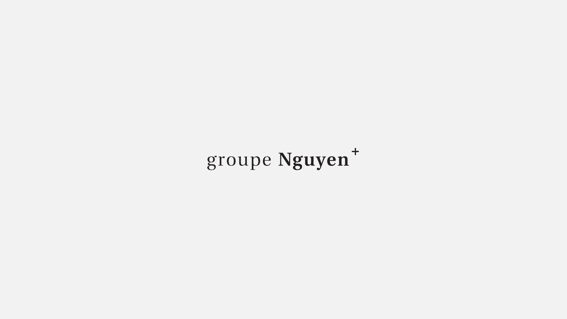 Groupe_nguyen_logo.png