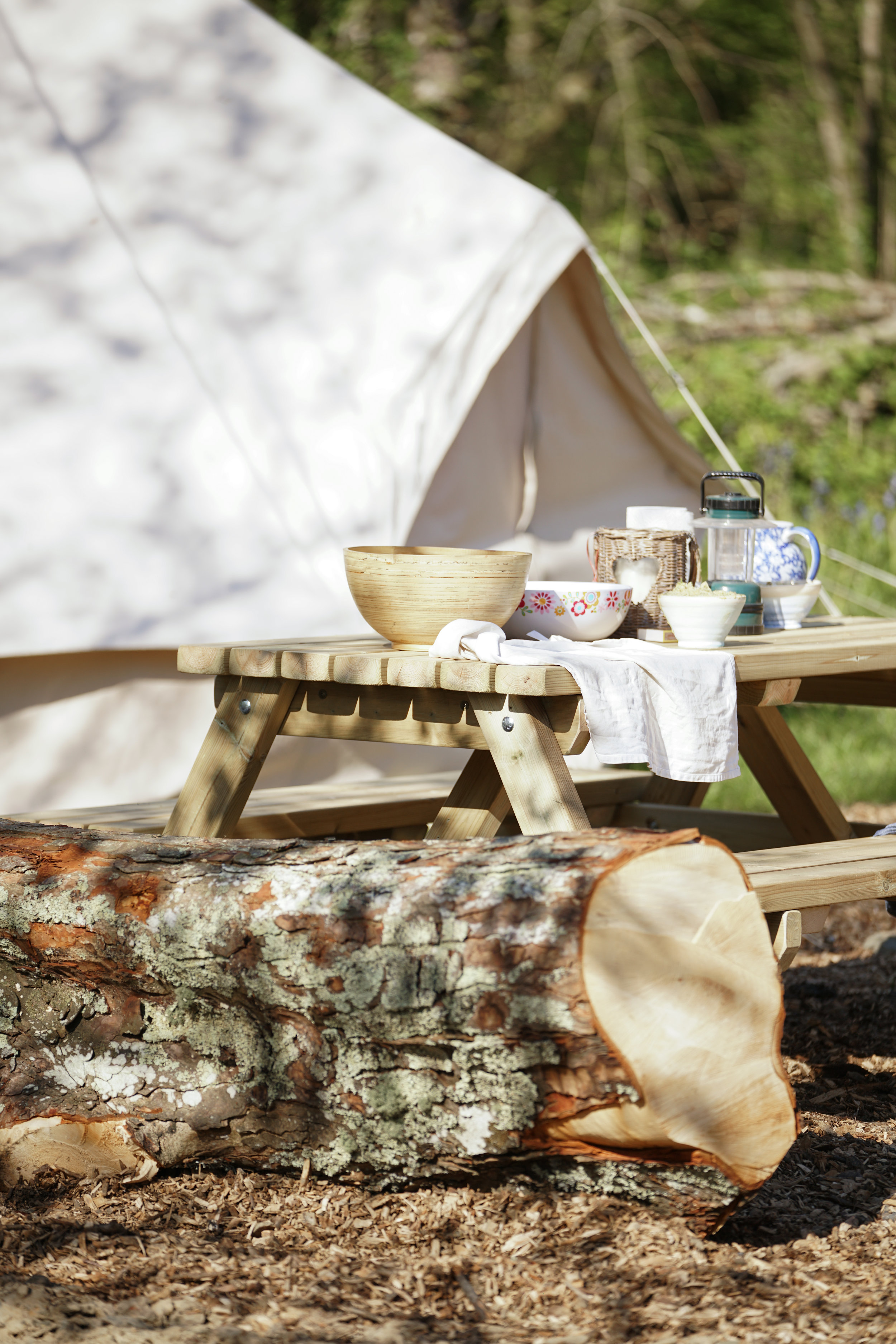 Hedgehog Camping Pembrokeshire Dragonfly Camping