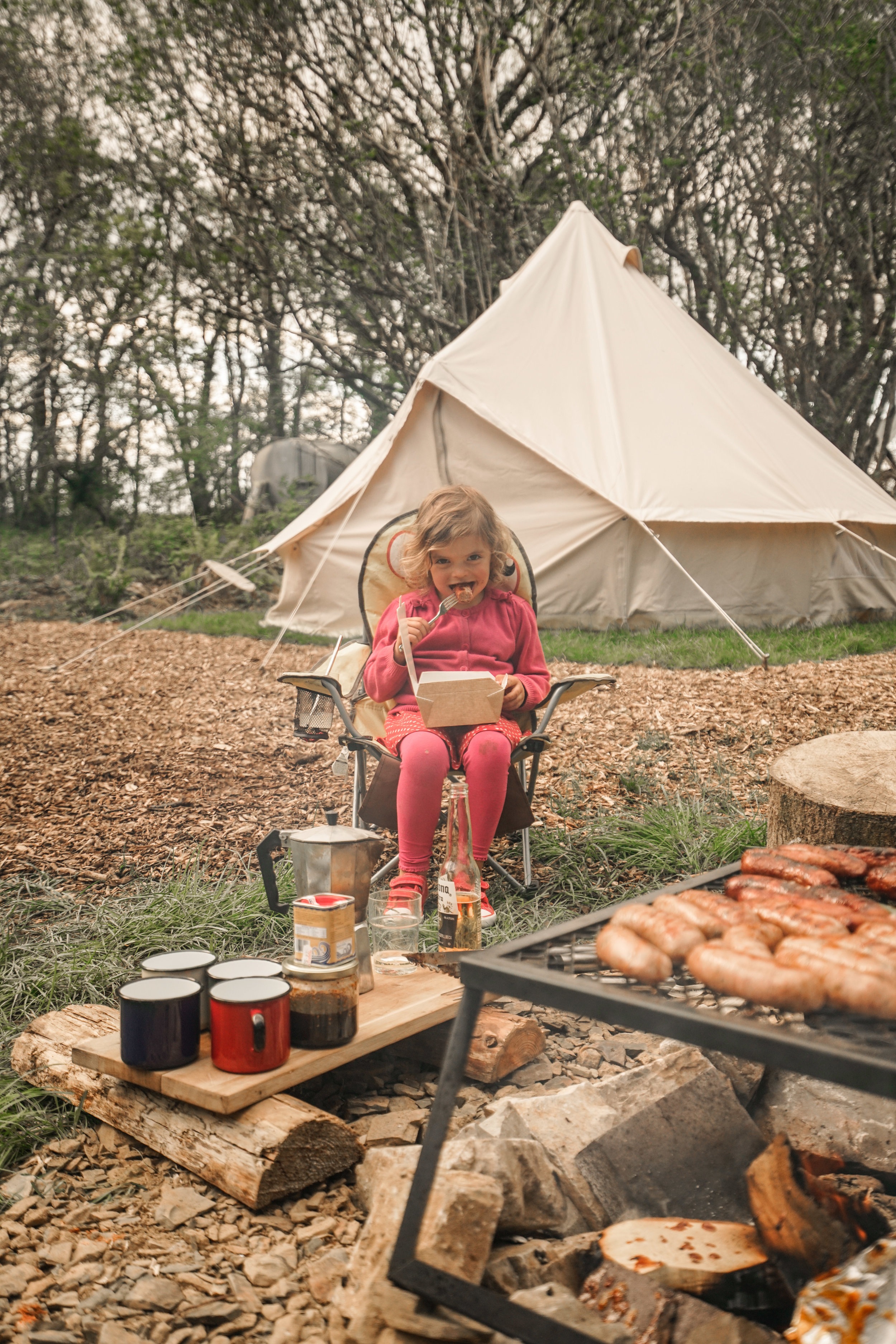 Hedgehog Camping Pembrokeshire Dragonfly Camping