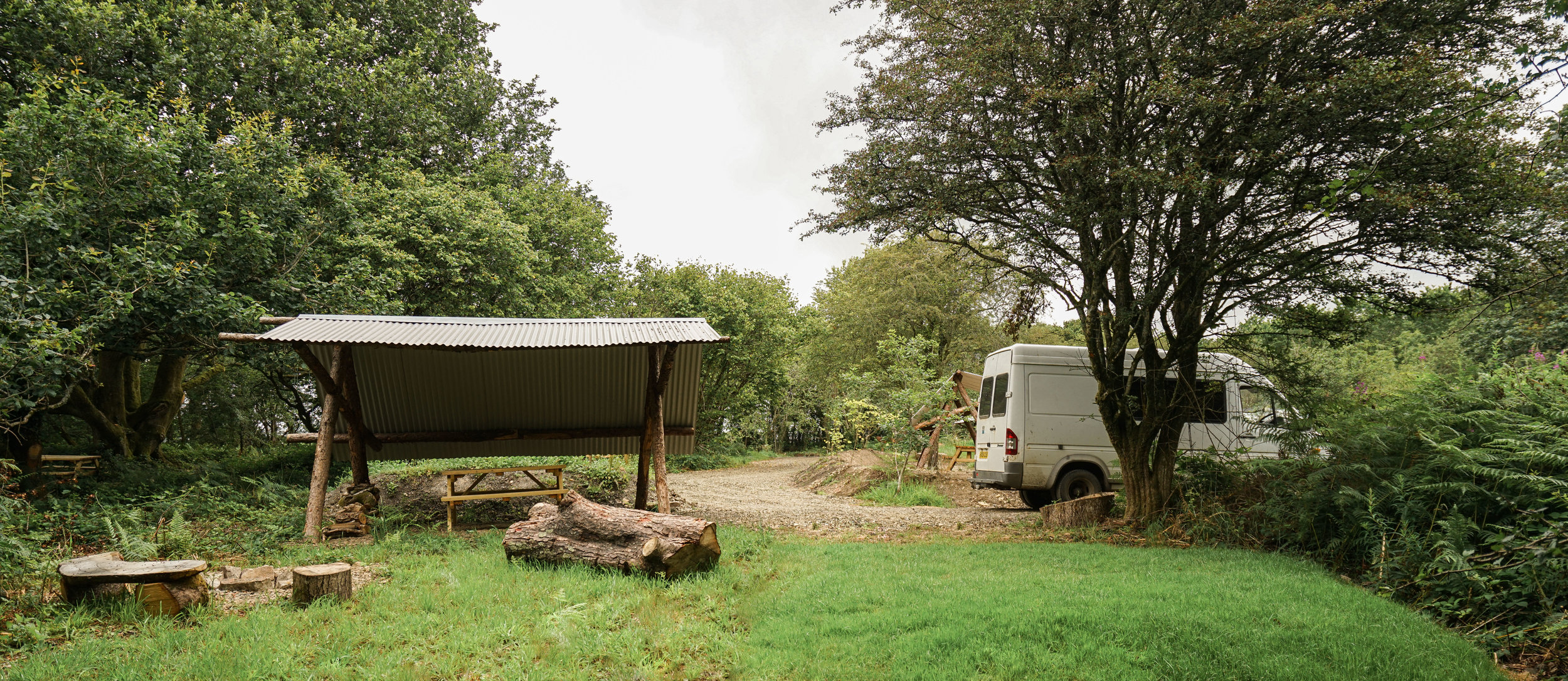 Bluebell Camping Pembrokeshire Dragonfly Camping