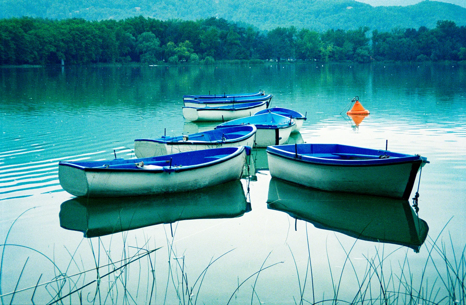 BOATS AT BANYOLES - Annette McIntosh