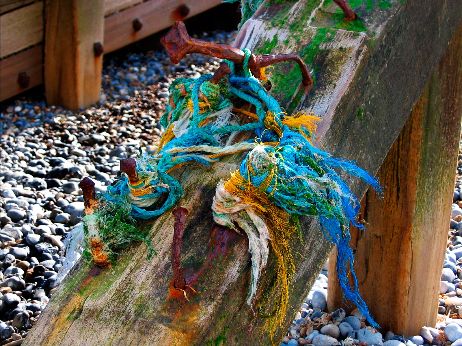 COLOURED ROPE - Annettte McIntosh