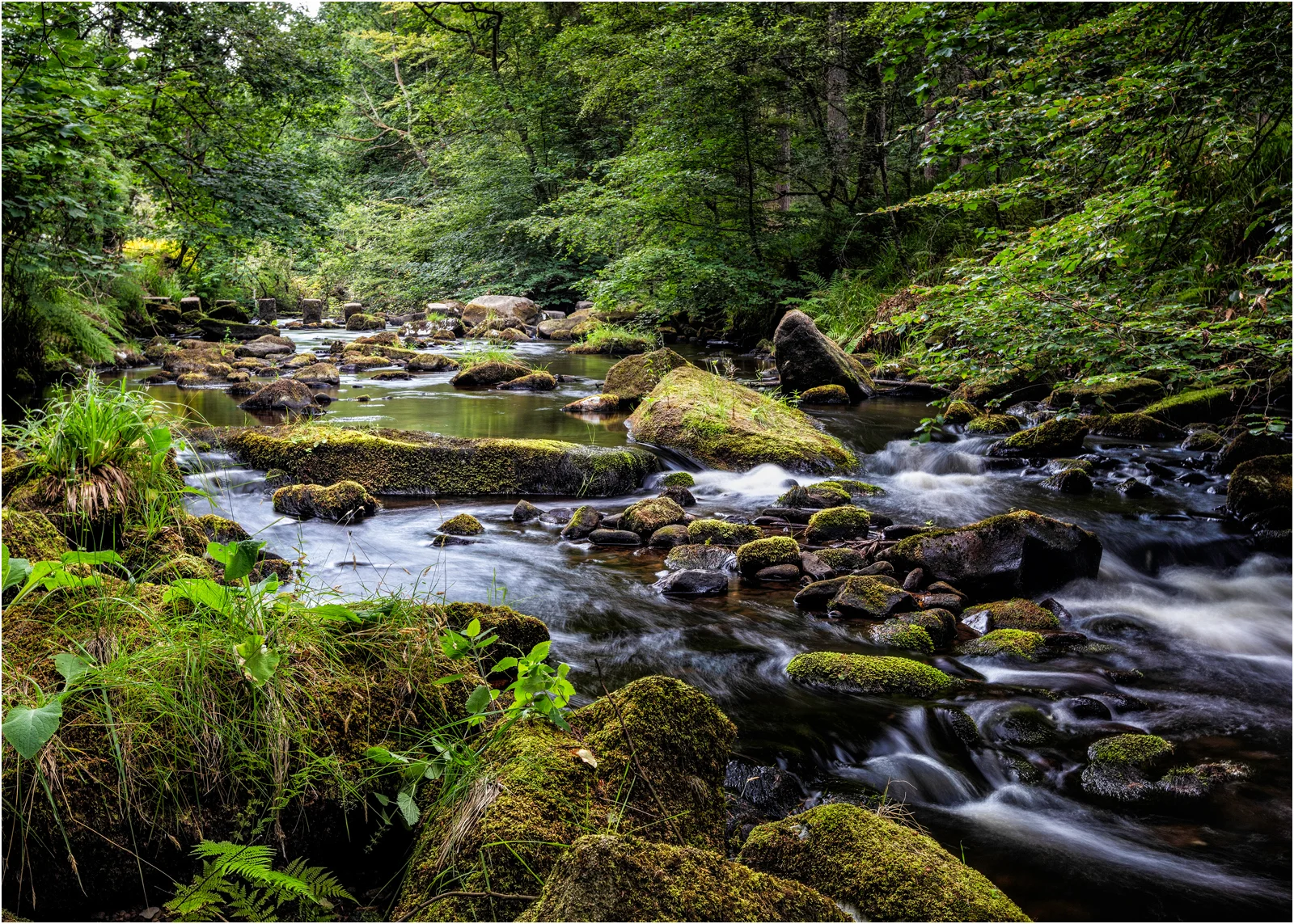 THE TRANQUIL MILL STREAM BELOW GIBSON MILL AT HARDCASTLE CRAGS - Maurice Young