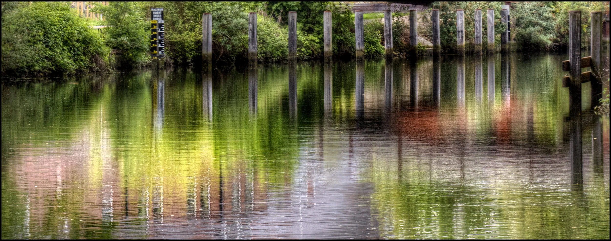 REFLECTIONS - Rosemary Taylor