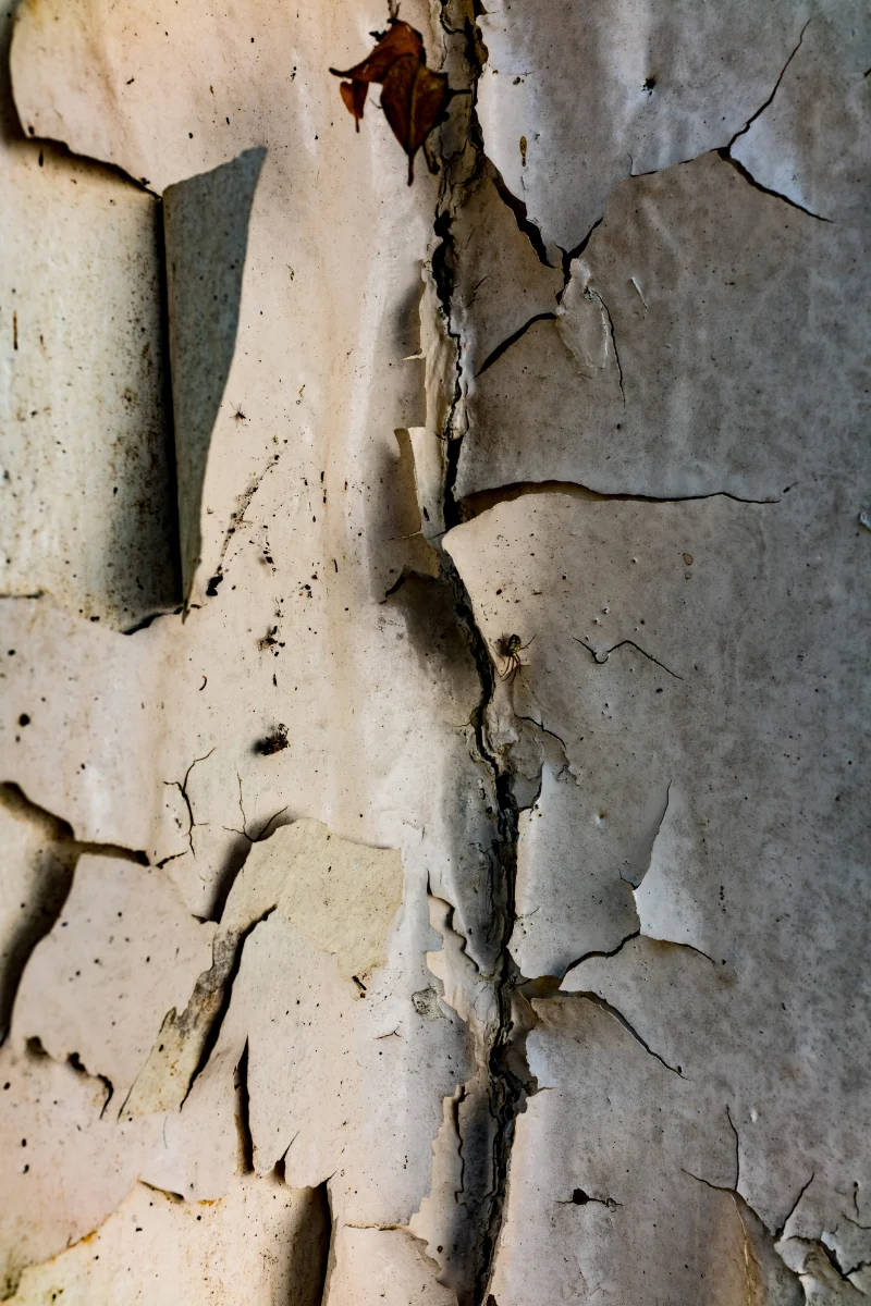 SLIPPING THROUGH THE CRACKS - Simon Ciappara