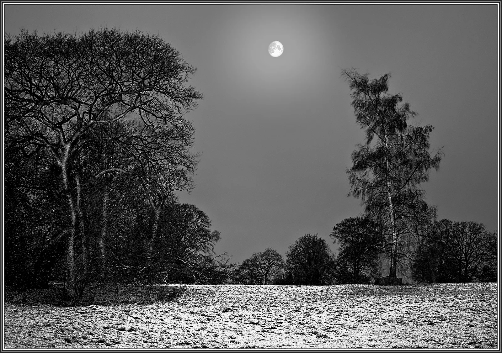 MOONLIGHT - Jim Massy