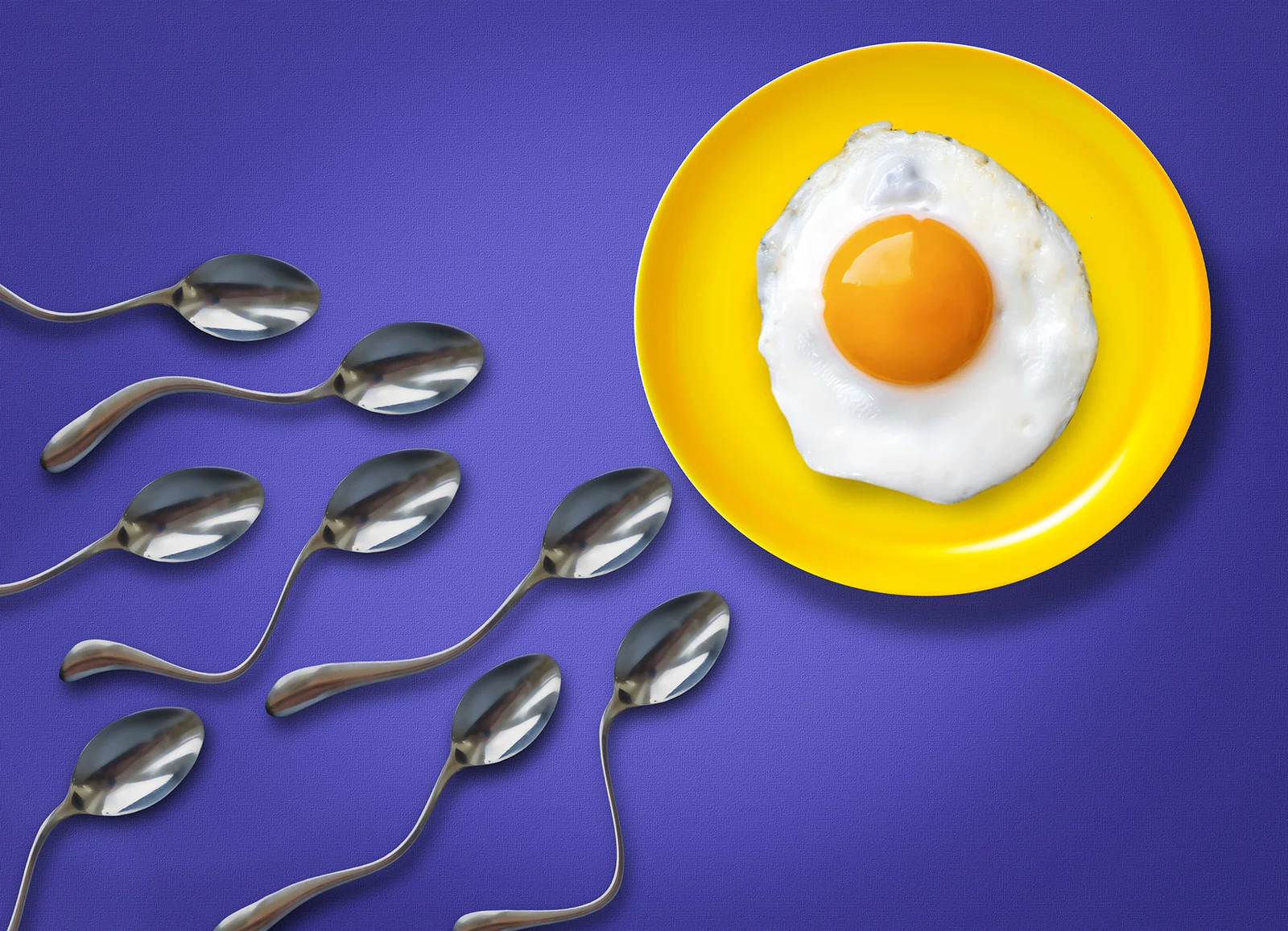 EGG AND SPOON RACE - Neil Hall