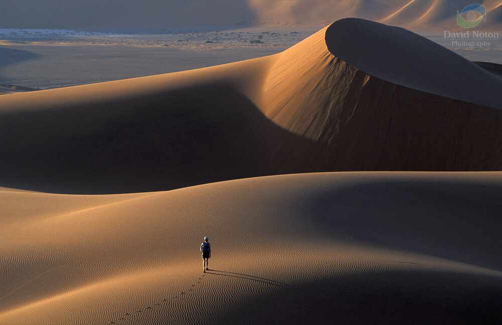 Namibia - 660 (image courtesy of David Noton)
