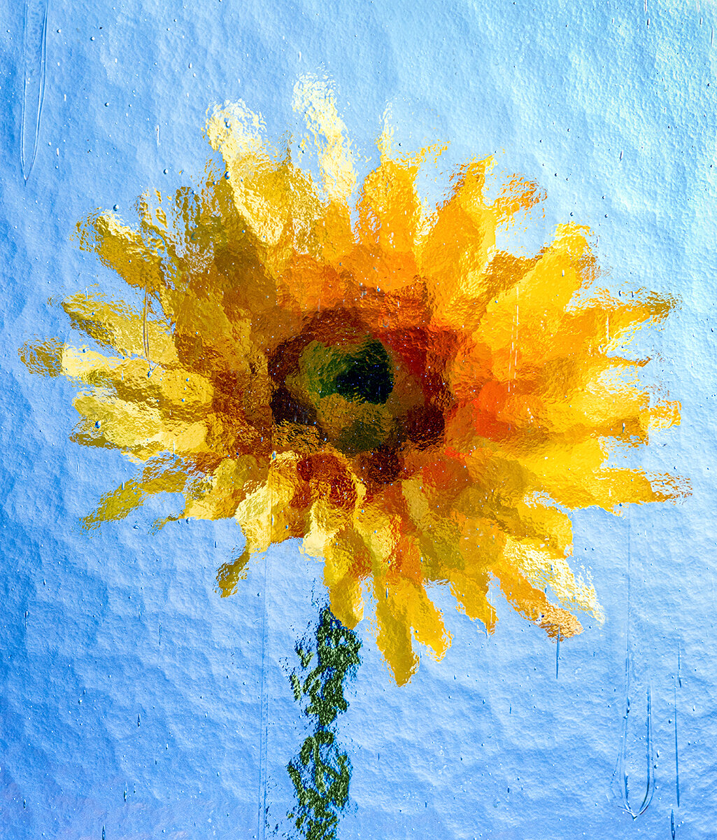 YELLOW FLOWER BEHIND TEXTURED GLASS - David Jordan