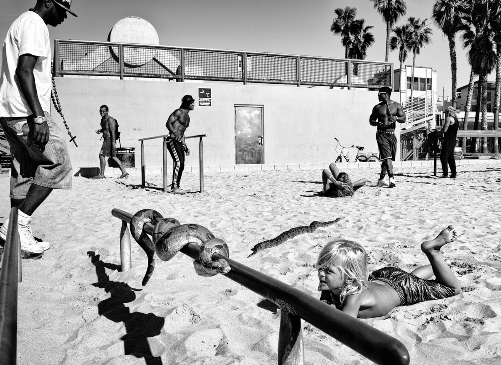 Image from Dotan's project on Venice Beach