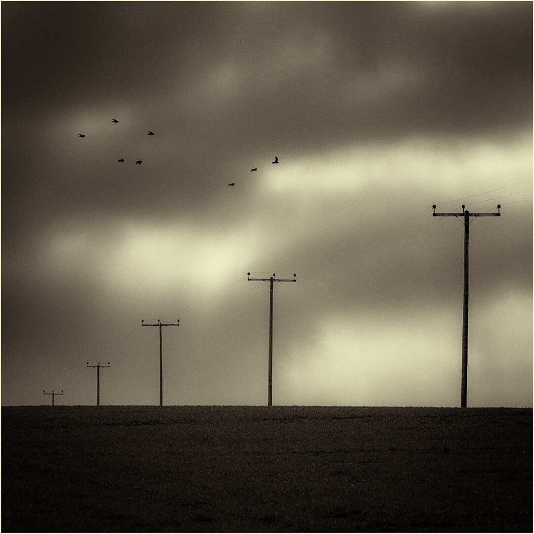 Join NDPS in congratulating Neil Hall whose image Poles Across a Field of Grain  was selected the best themed image in the f2.8 league submitted in the second round of this season's Photographer of the Year Competition.⁠
⁠
#norfolklandscapephotograph