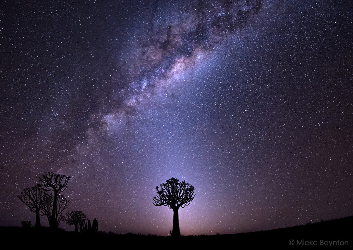 ZODIACAL LIGHT 