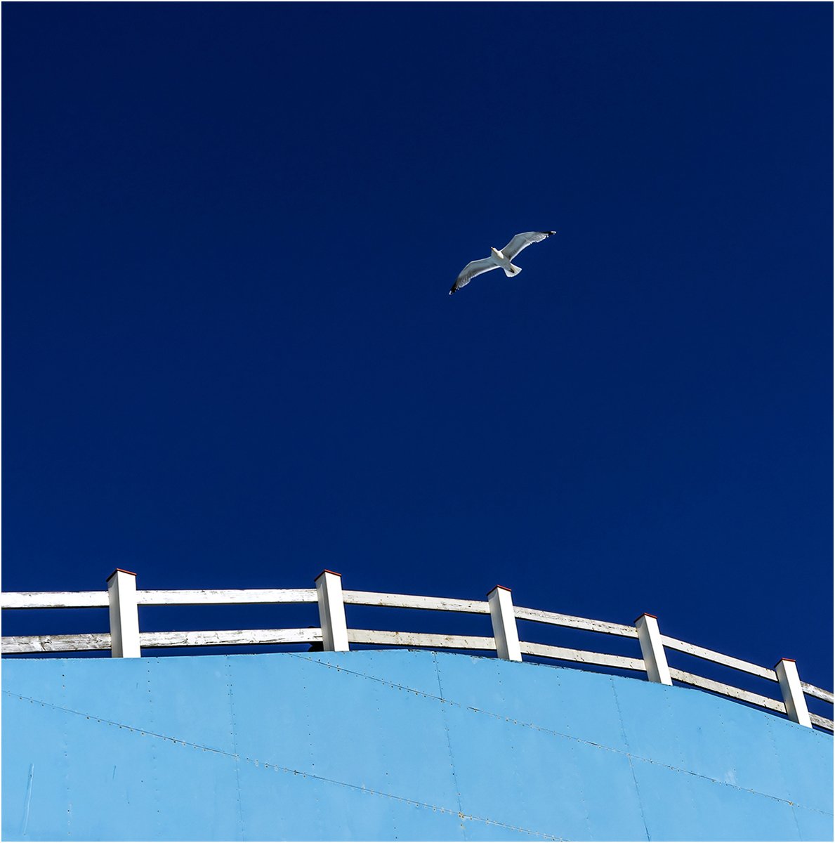 INTO THE BLUE - Clare Lister