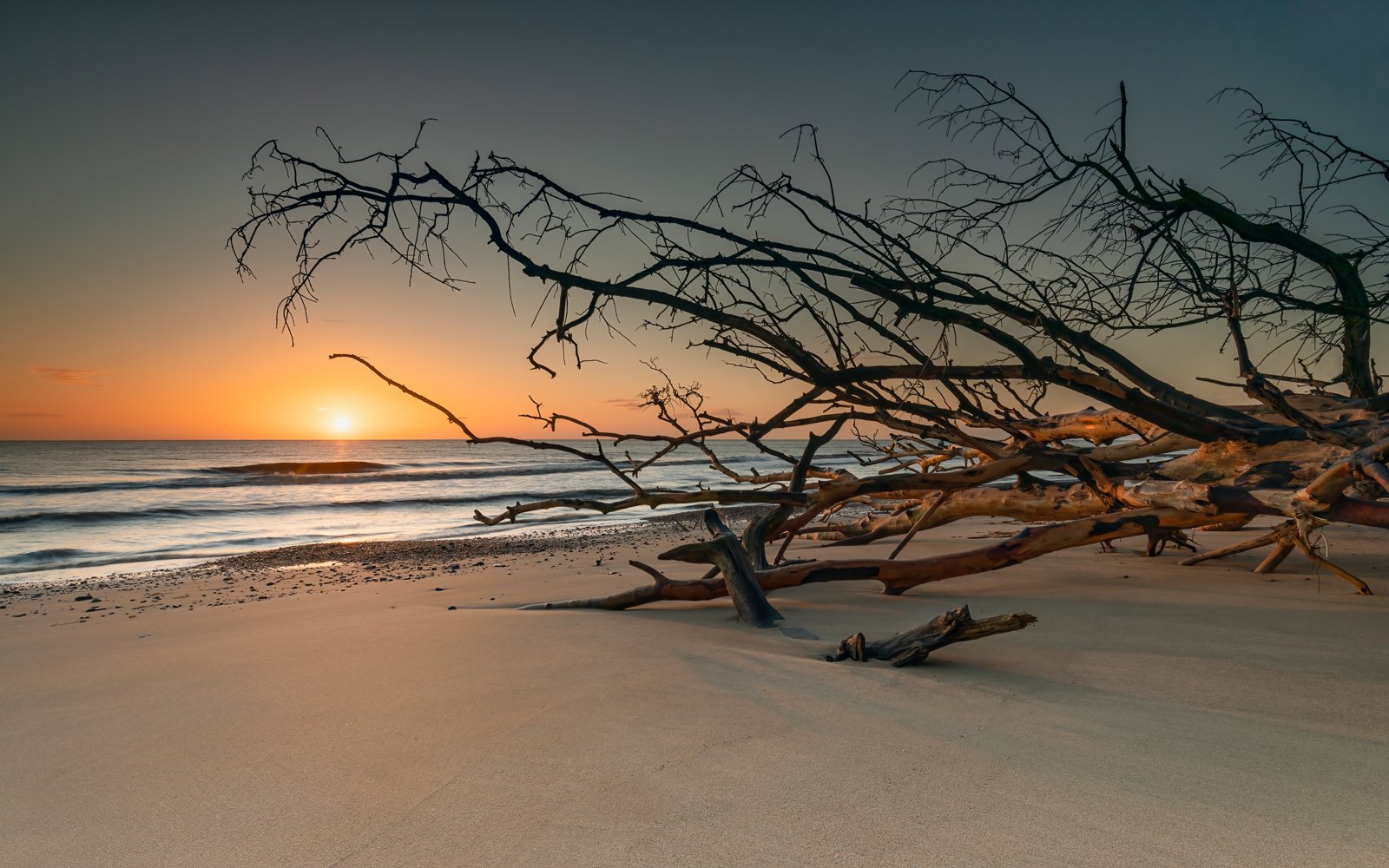 SUNRISE ON BENACRE BEACH, SUFFOLK - Davis Powley