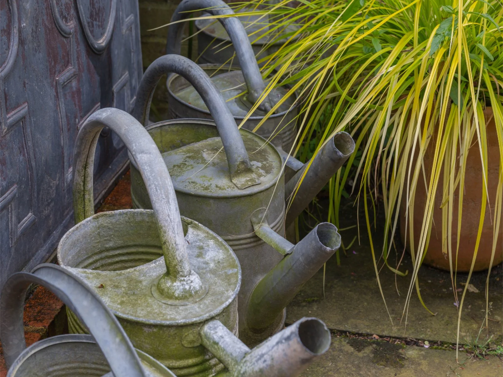 f5.6 POTY Round 1 20222023 — NDPS Norwich & District Photographic